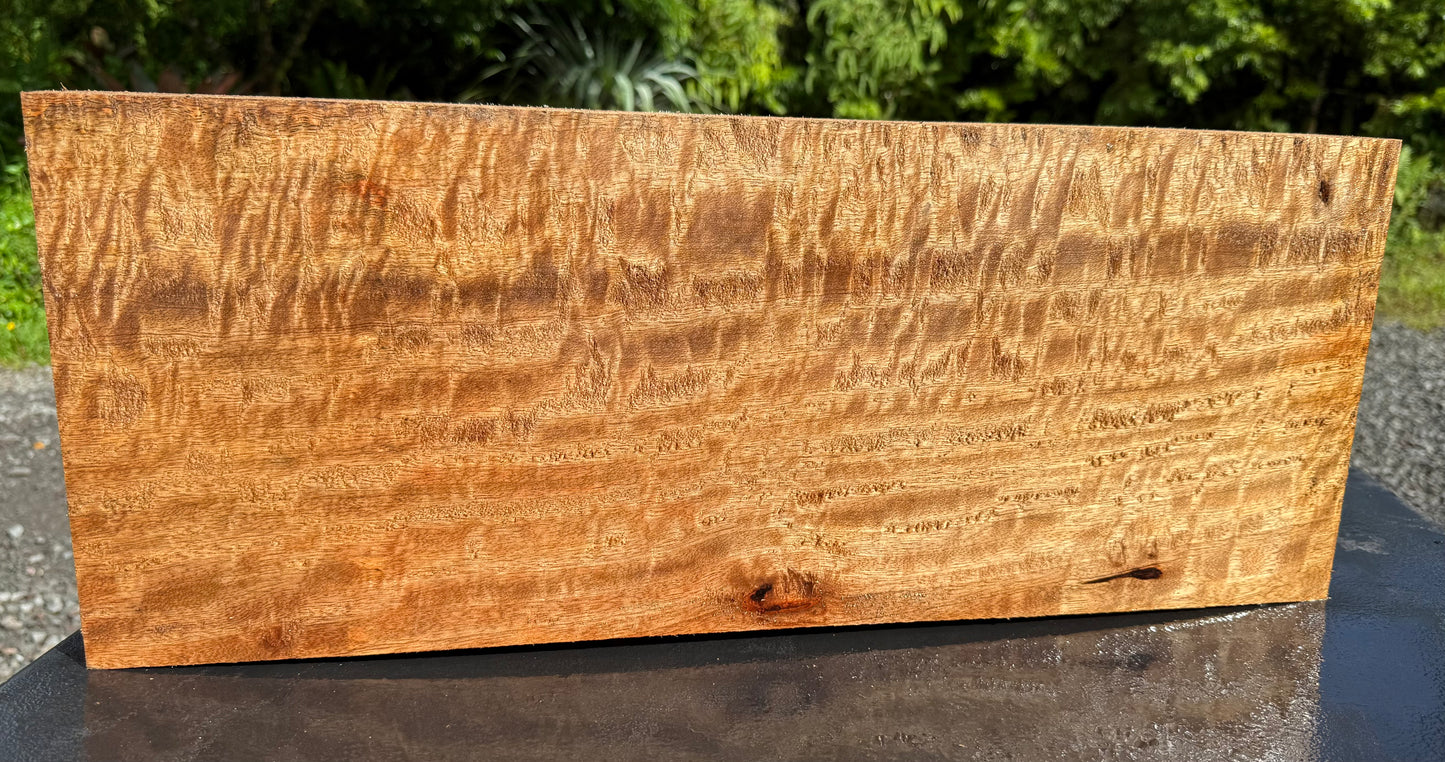 Hawaiian Curly Mango Board / Guitar Billet #14822