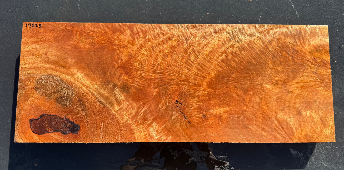 Hawaiian Curly Mango Board / Guitar Billet #14823