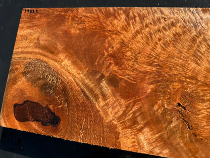 Hawaiian Curly Mango Board / Guitar Billet #14823