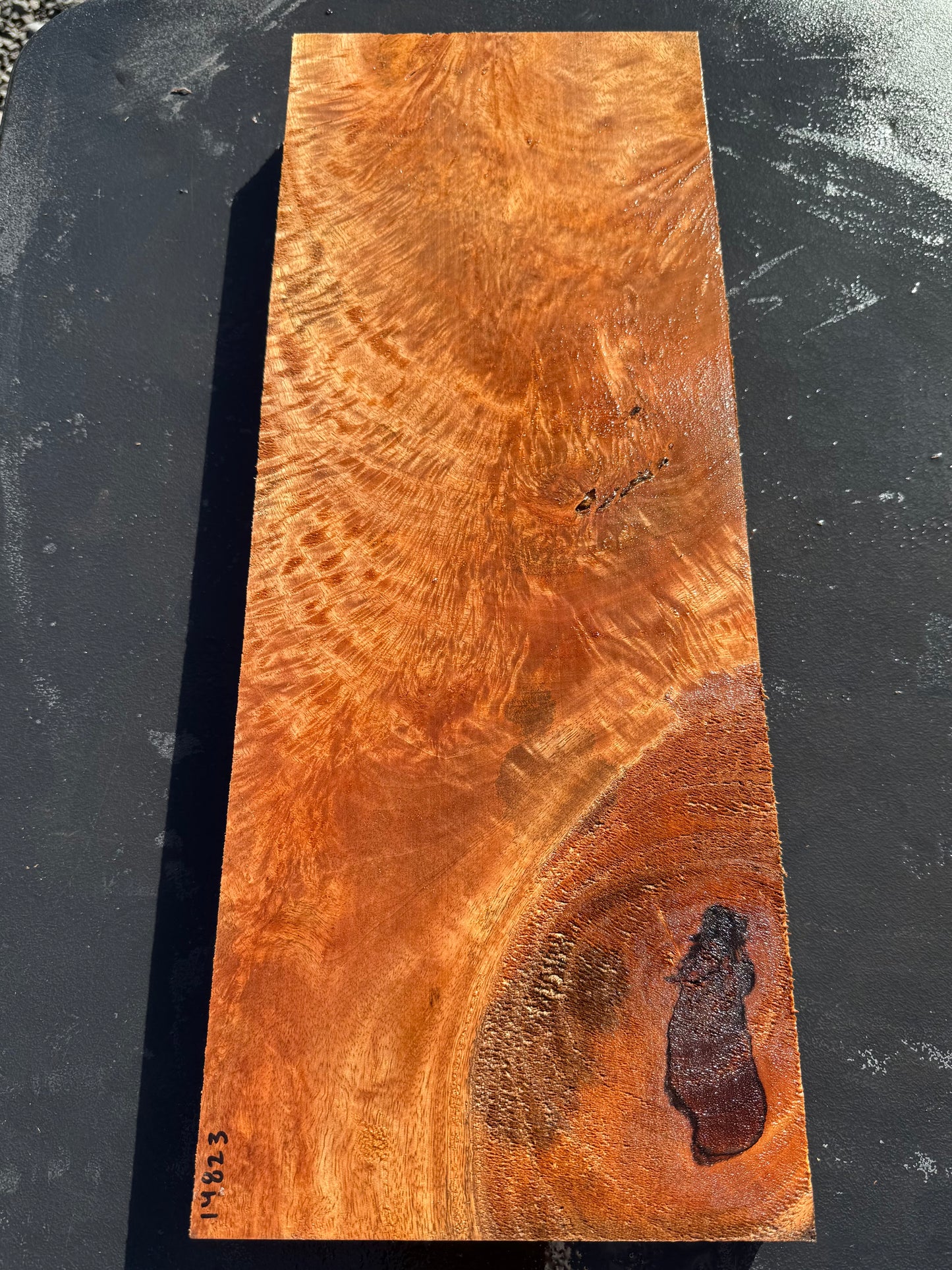 Hawaiian Curly Mango Board / Guitar Billet #14823