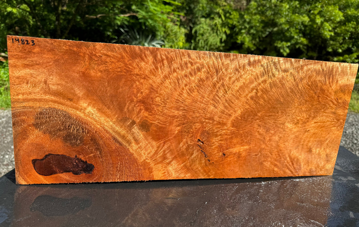 Hawaiian Curly Mango Board / Guitar Billet #14823