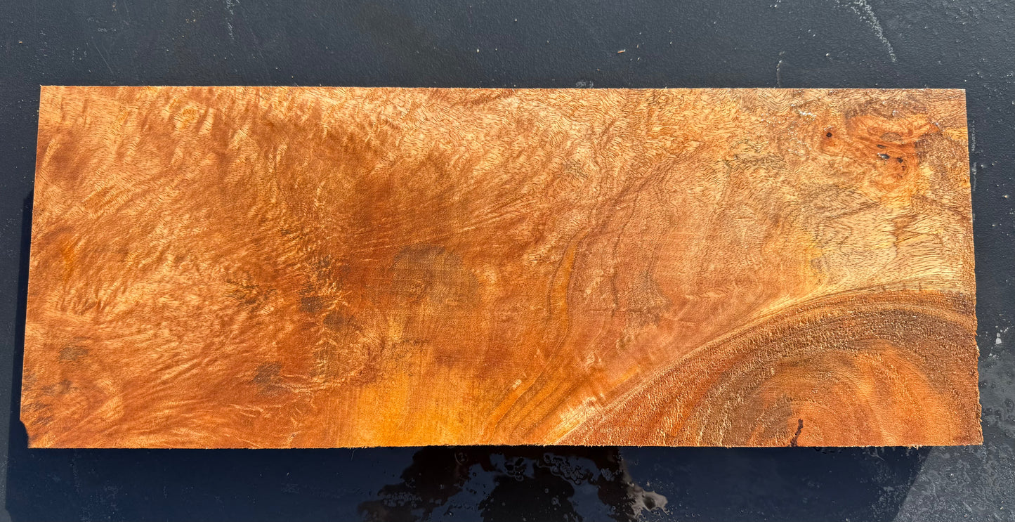 Hawaiian Curly Mango Board / Guitar Billet #14823
