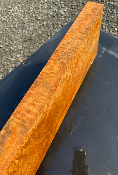Hawaiian Curly Mango Board / Guitar Billet #14823