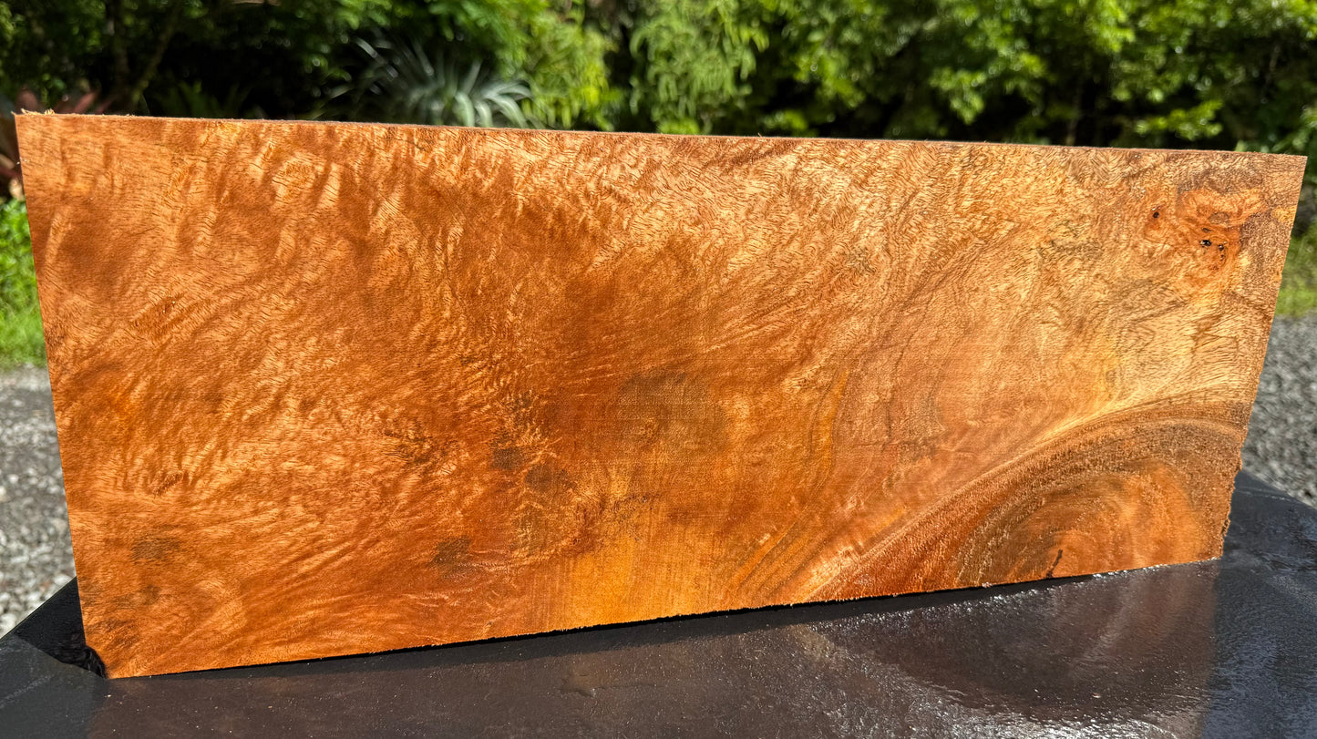 Hawaiian Curly Mango Board / Guitar Billet #14823