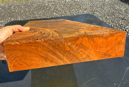 Hawaiian Curly Mango Board / Guitar Billet #14823