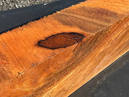 Hawaiian Curly Mango Board / Guitar Billet #14823