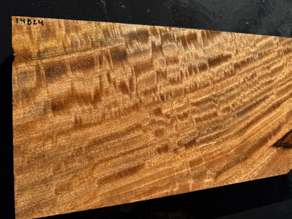 Hawaiian Curly Mango Board / Guitar Billet #14824