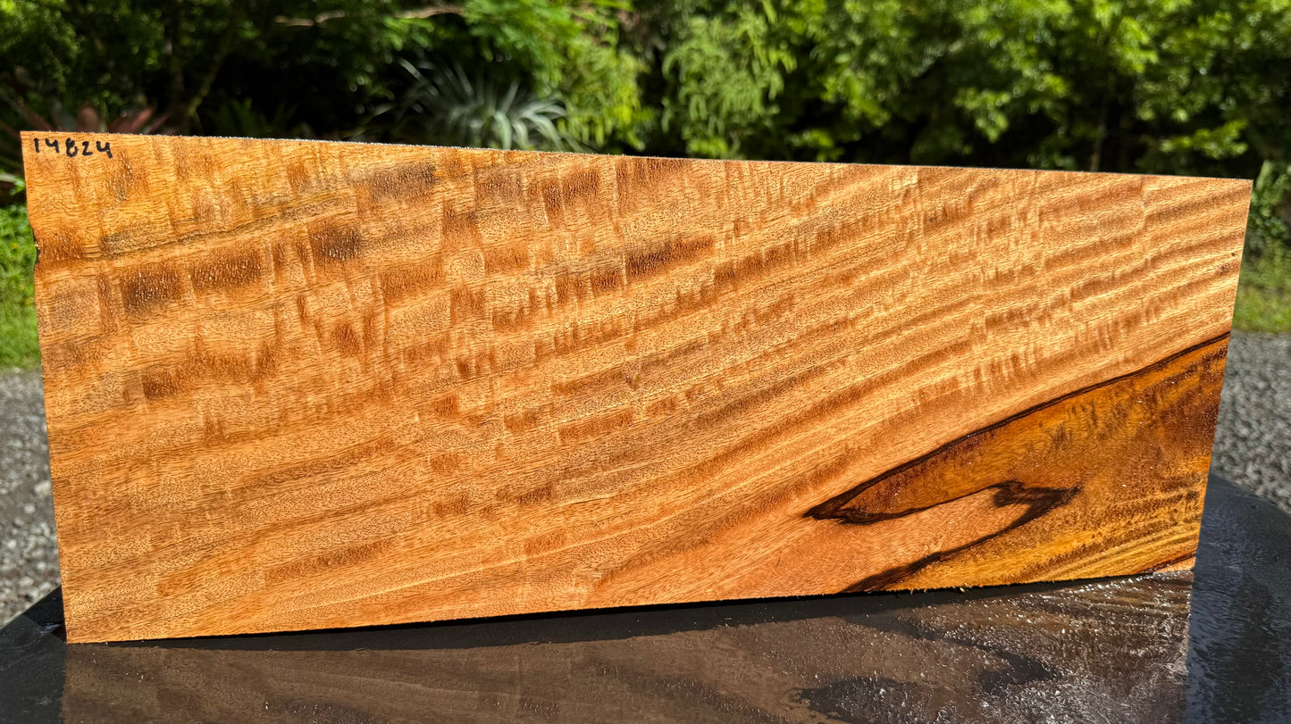 Hawaiian Curly Mango Board / Guitar Billet #14824