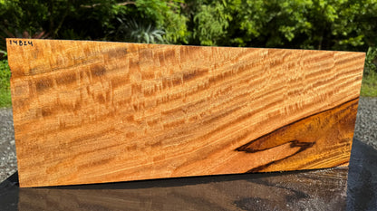Hawaiian Curly Mango Board / Guitar Billet #14824