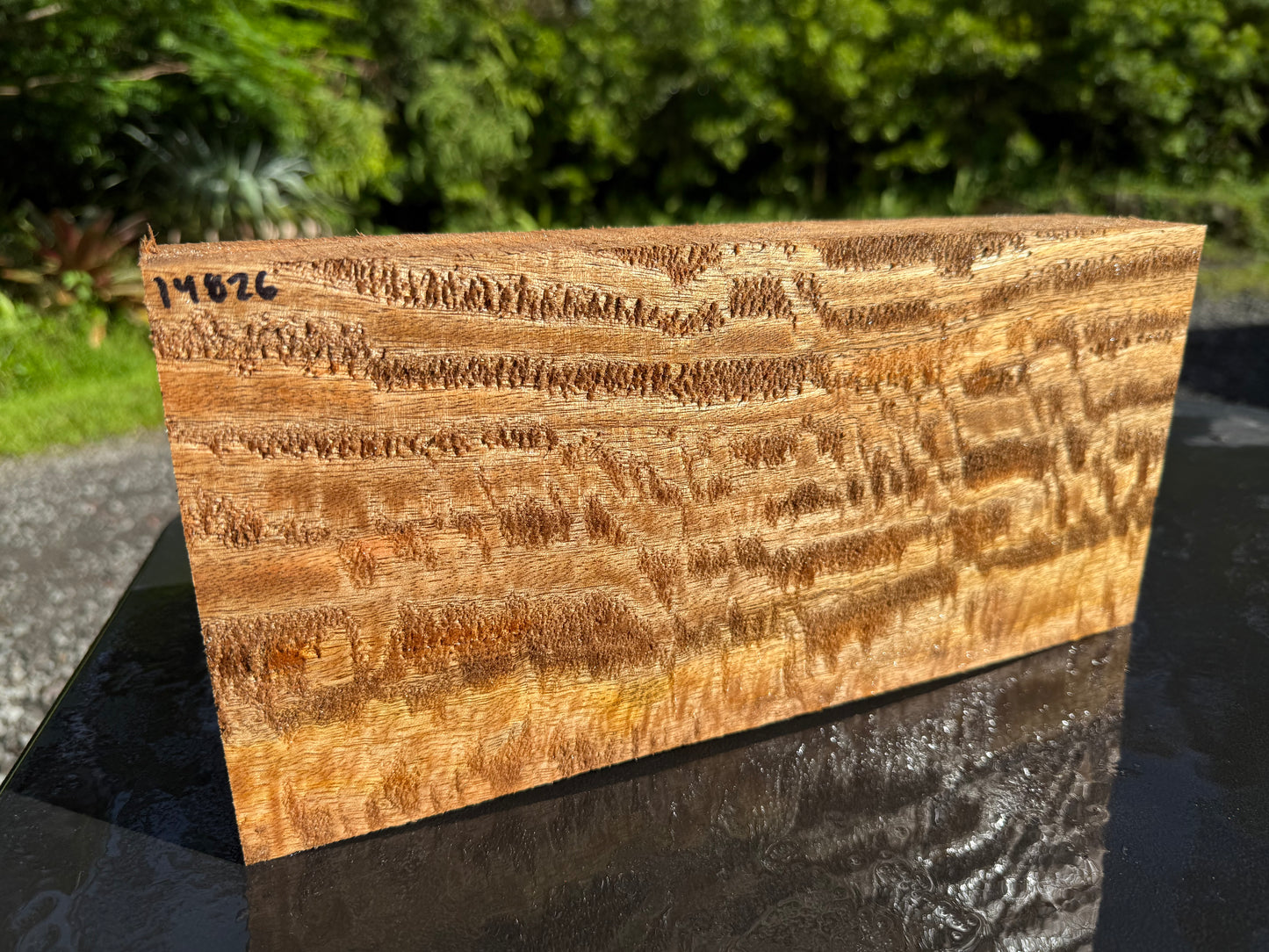 Hawaiian Curly Mango Board #14826