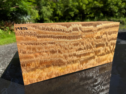 Hawaiian Curly Mango Board #14826