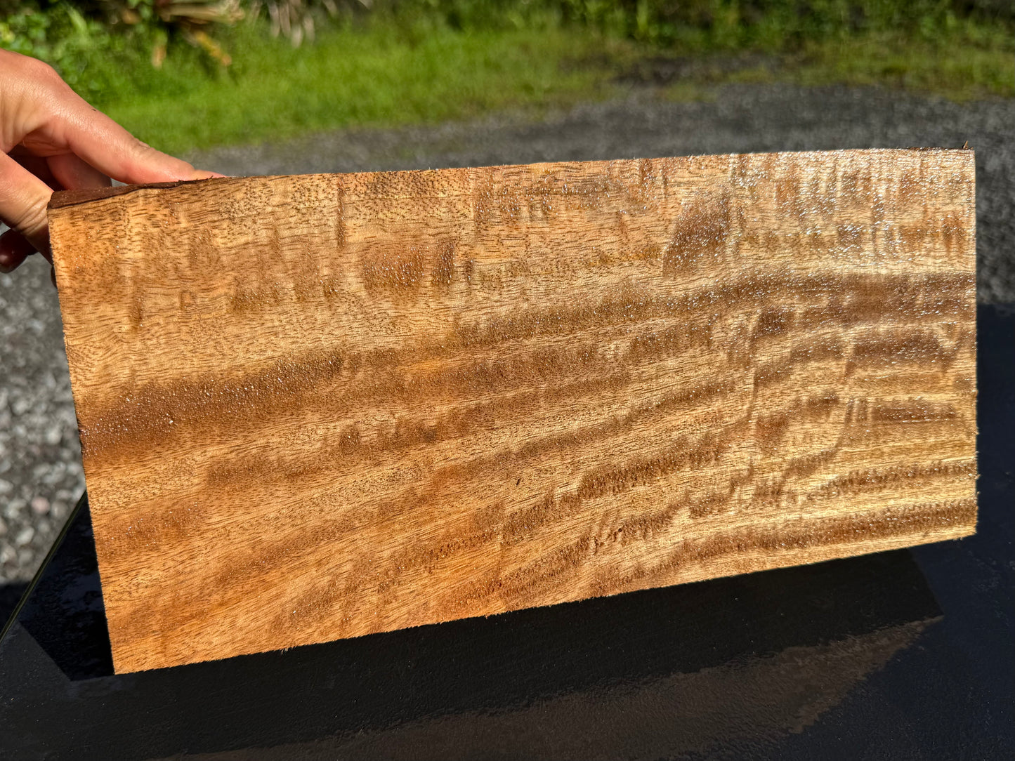 Hawaiian Curly Mango Board #14826
