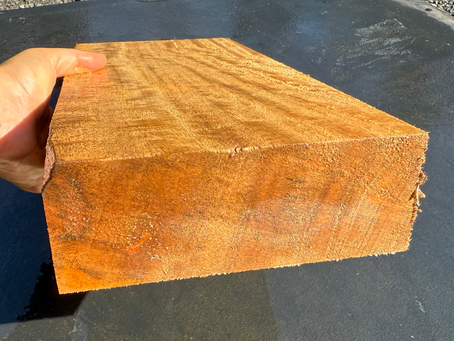 Hawaiian Curly Mango Board #14826