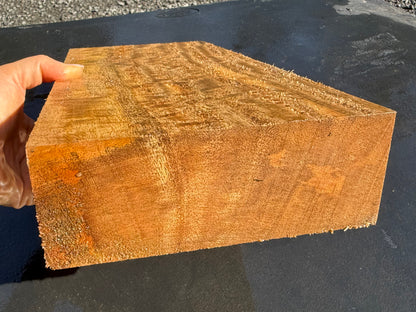 Hawaiian Curly Mango Board #14826