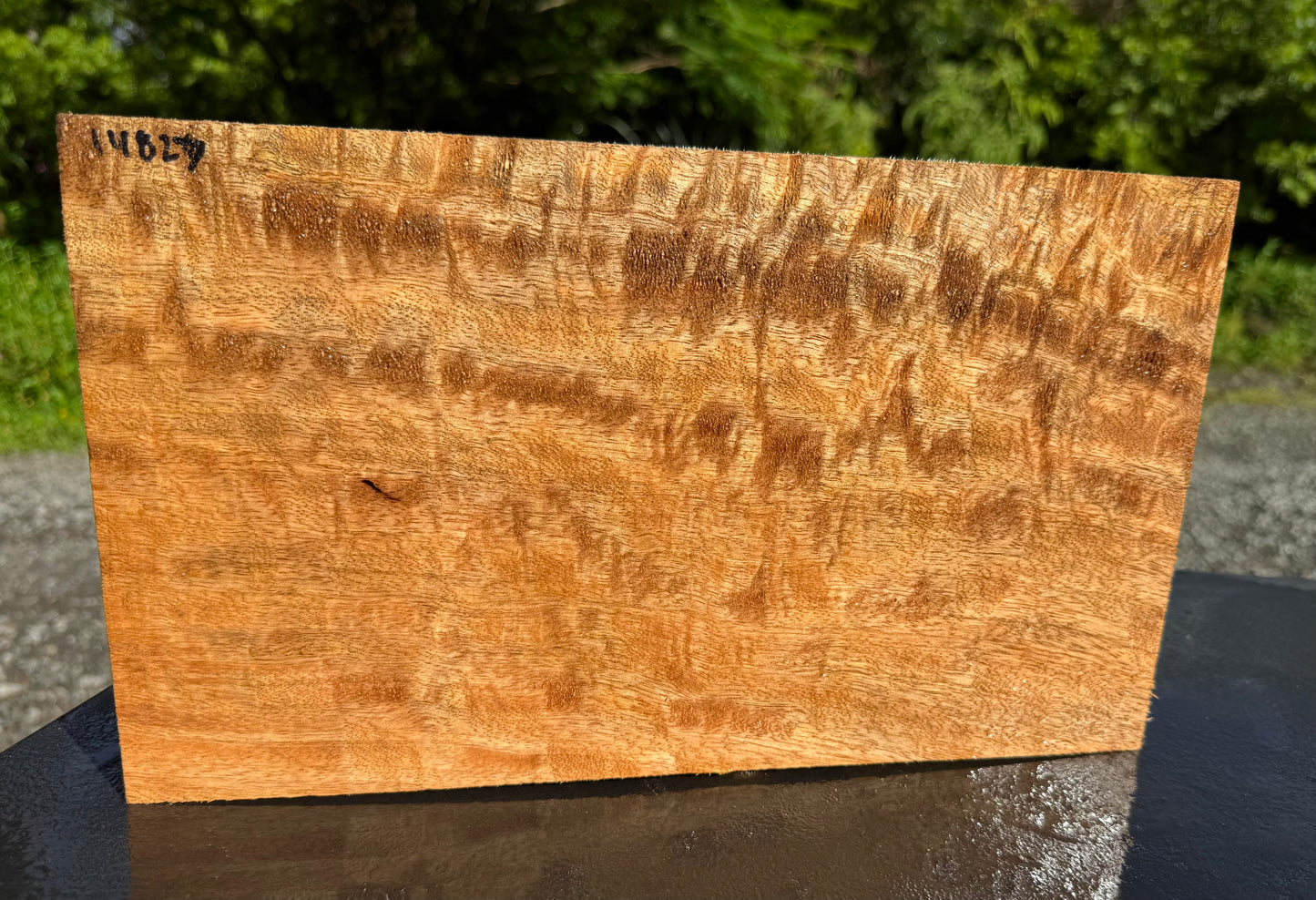 Hawaiian Curly Mango Board #14827