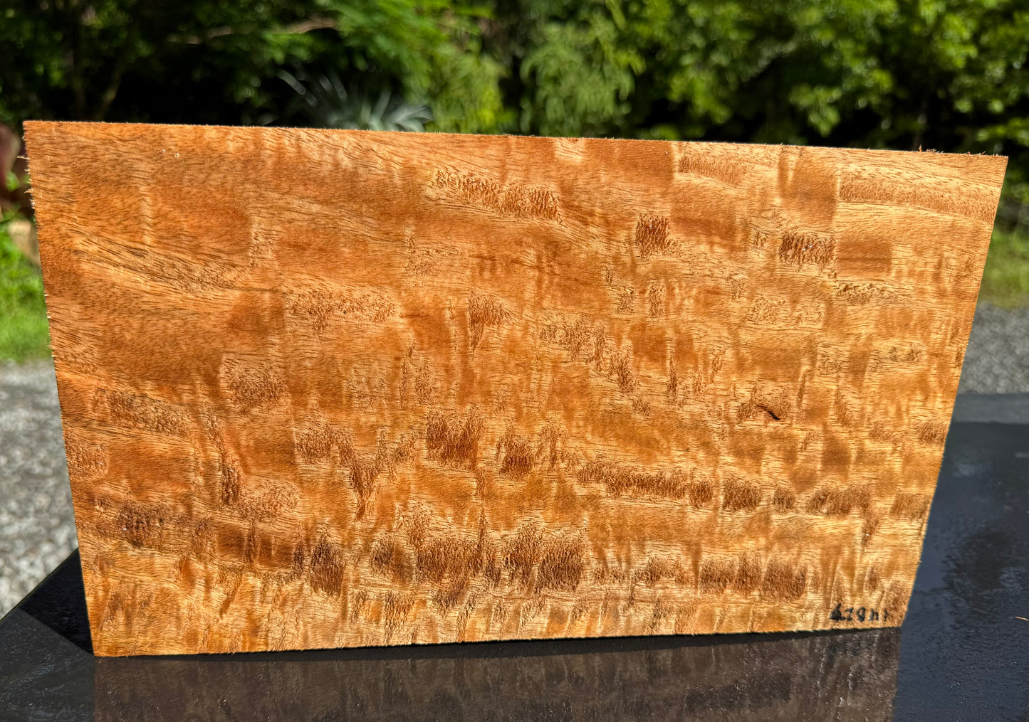 Hawaiian Curly Mango Board #14827