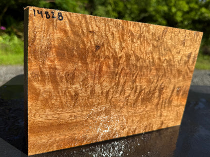 Hawaiian Curly Mango Board #14828