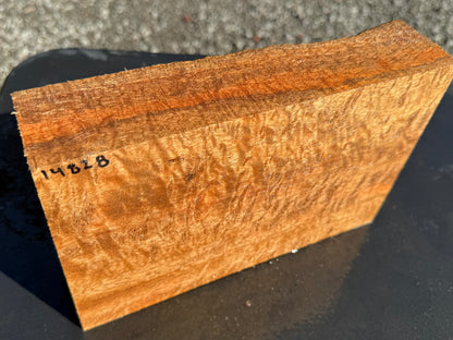 Hawaiian Curly Mango Board #14828
