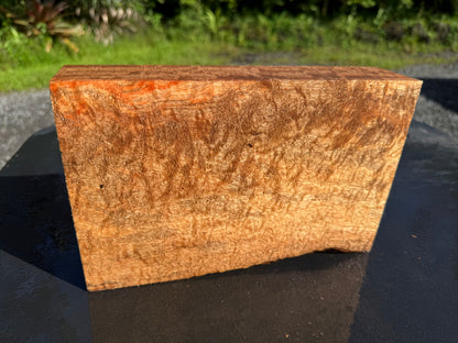 Hawaiian Curly Mango Board #14828