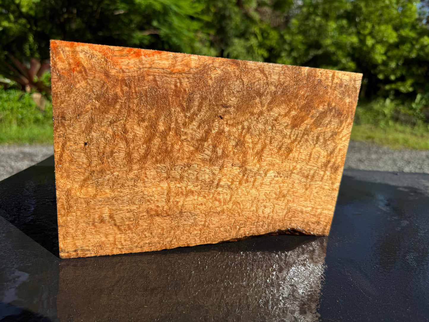 Hawaiian Curly Mango Board #14828