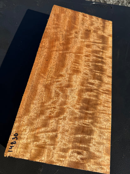 Hawaiian Curly Mango Board #14830