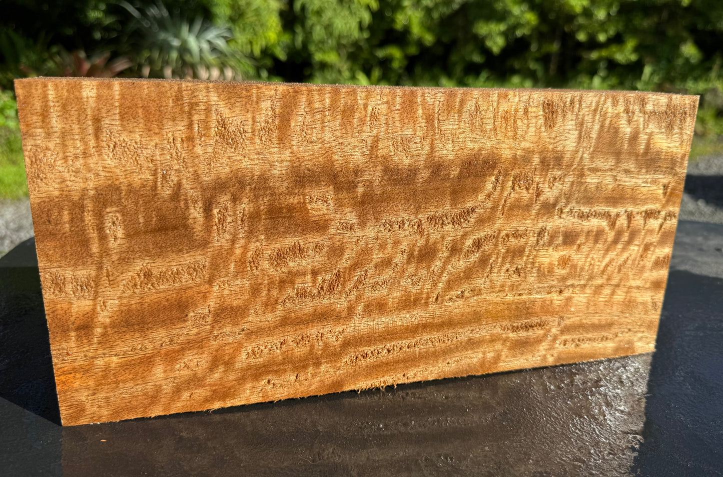 Hawaiian Curly Mango Board #14830