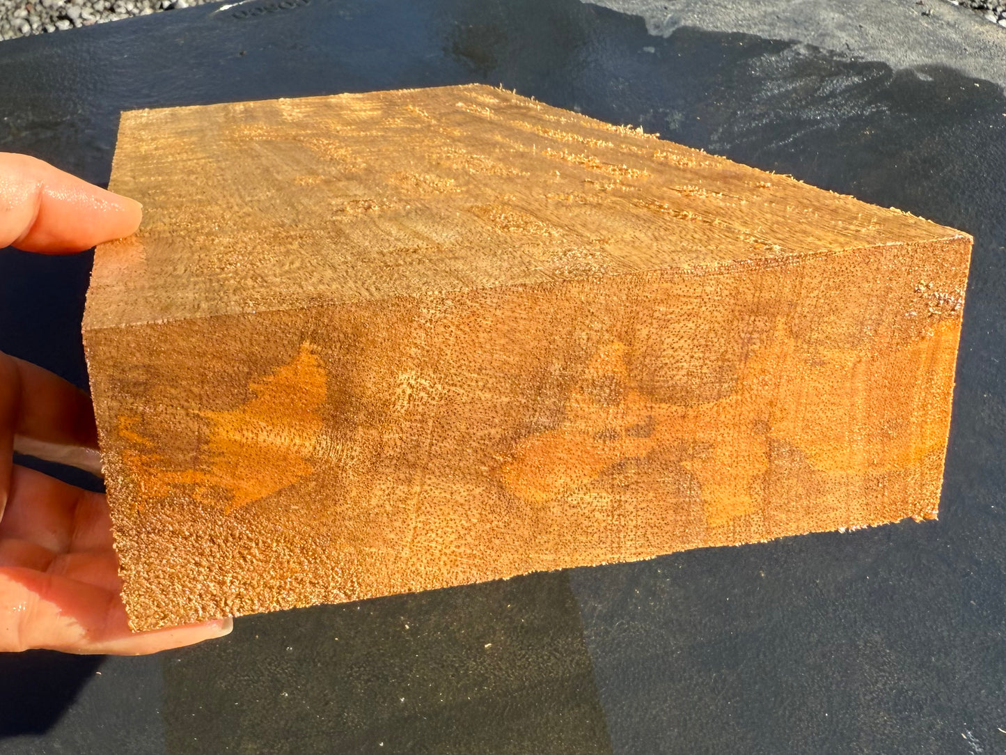 Hawaiian Curly Mango Board #14830