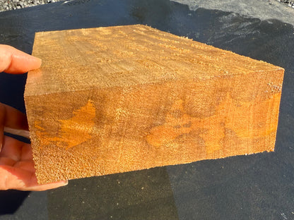 Hawaiian Curly Mango Board #14830