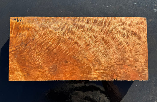 Hawaiian Curly Mango Board #14831