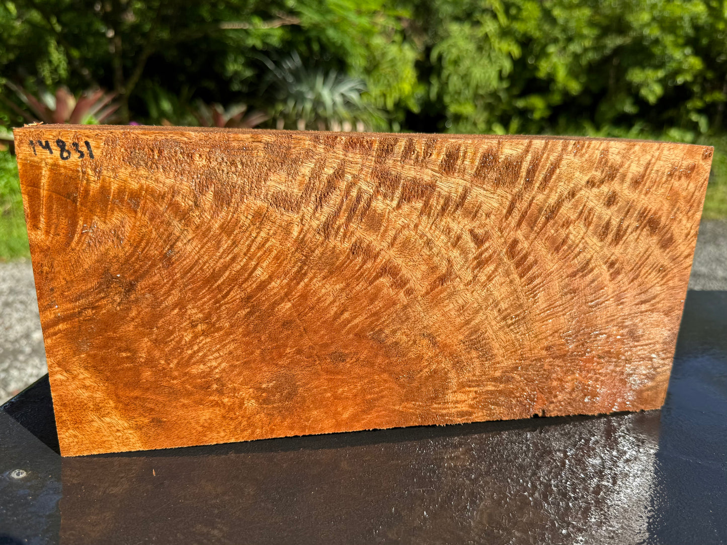 Hawaiian Curly Mango Board #14831