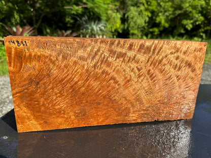 Hawaiian Curly Mango Board #14831