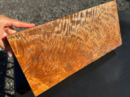 Hawaiian Curly Mango Board #14831