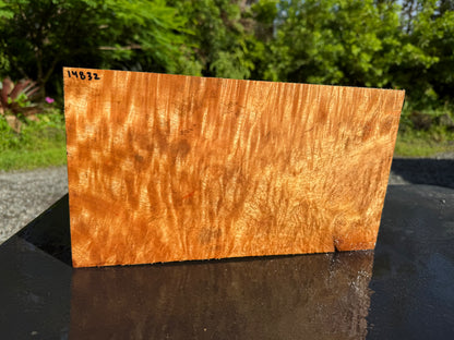 Hawaiian Curly Mango Board #14832