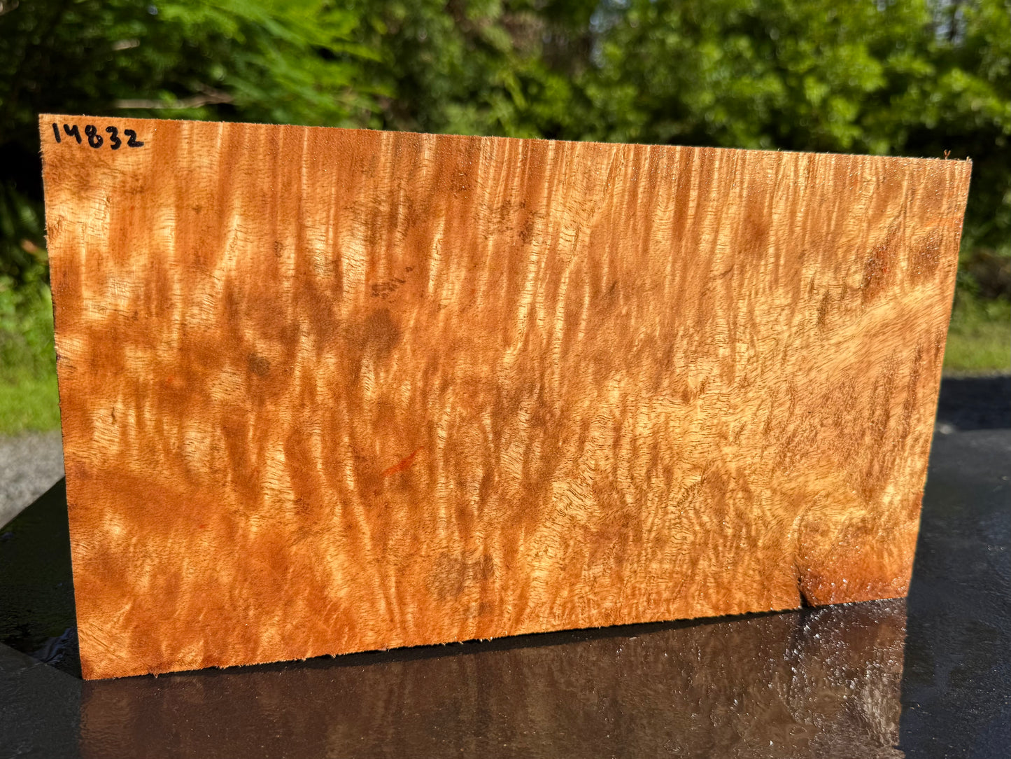 Hawaiian Curly Mango Board #14832