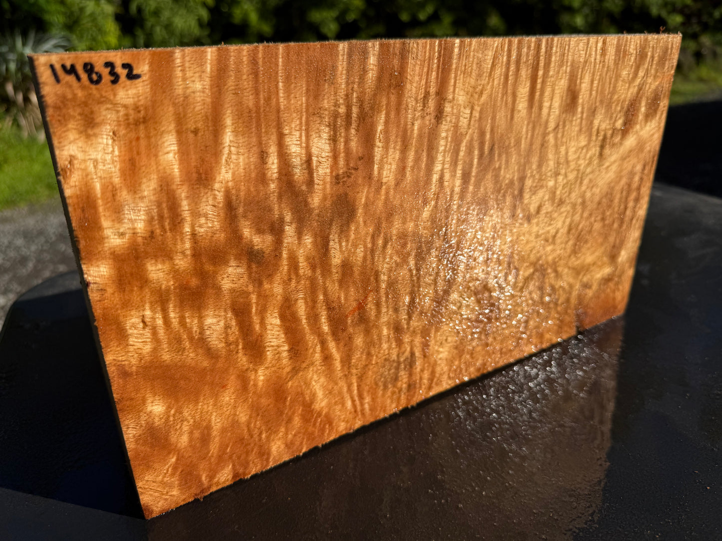 Hawaiian Curly Mango Board #14832