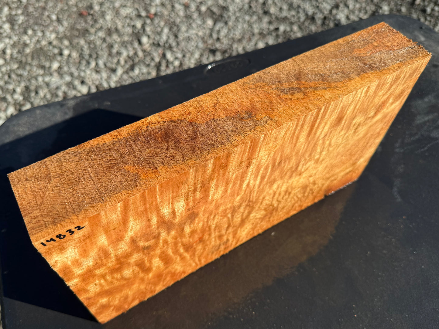 Hawaiian Curly Mango Board #14832