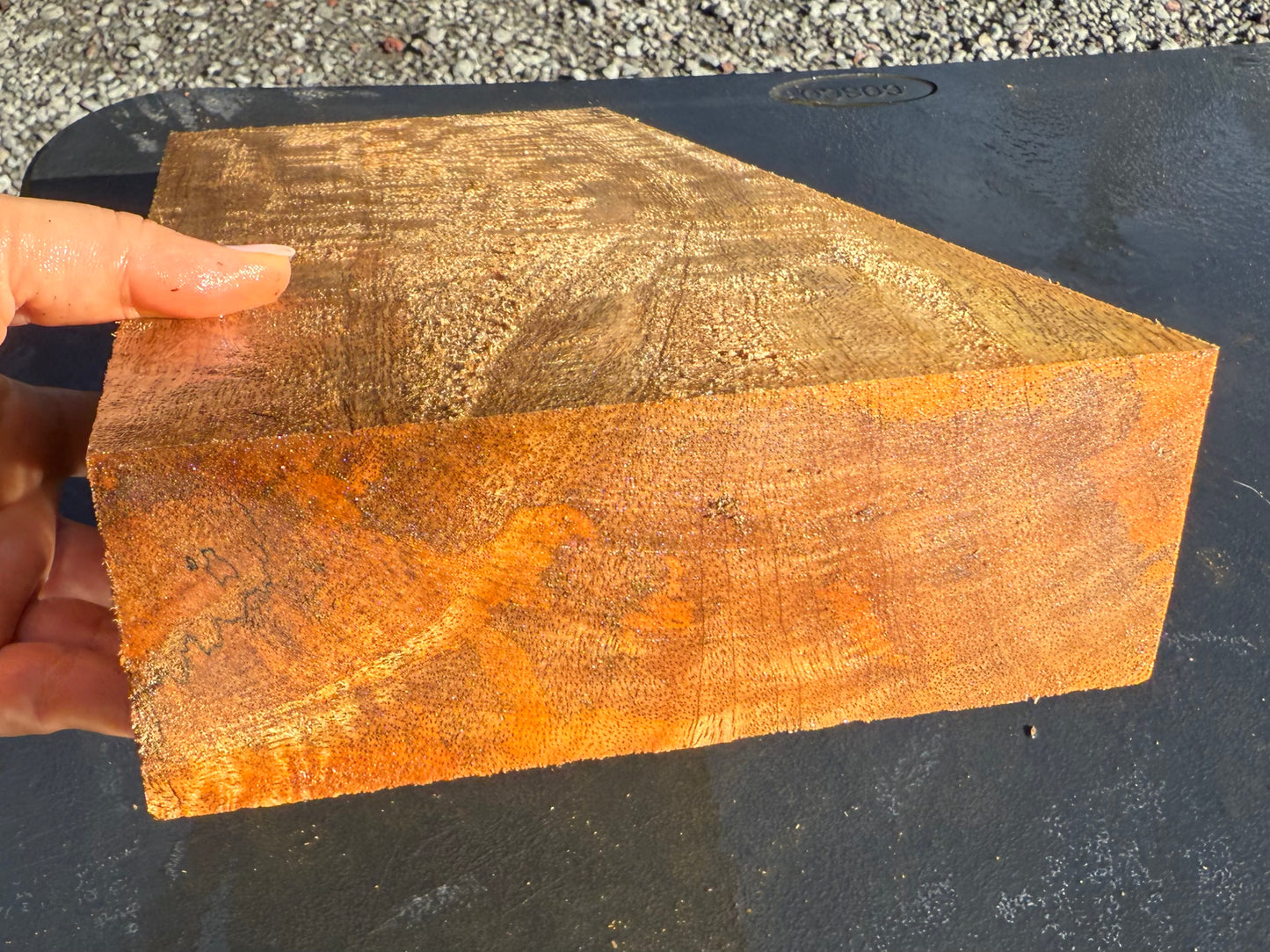 Hawaiian Curly Mango Board #14833