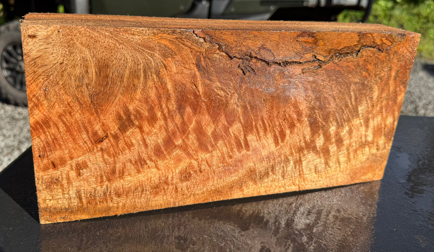 Hawaiian Curly Mango Board #14833