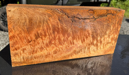 Hawaiian Curly Mango Board #14833