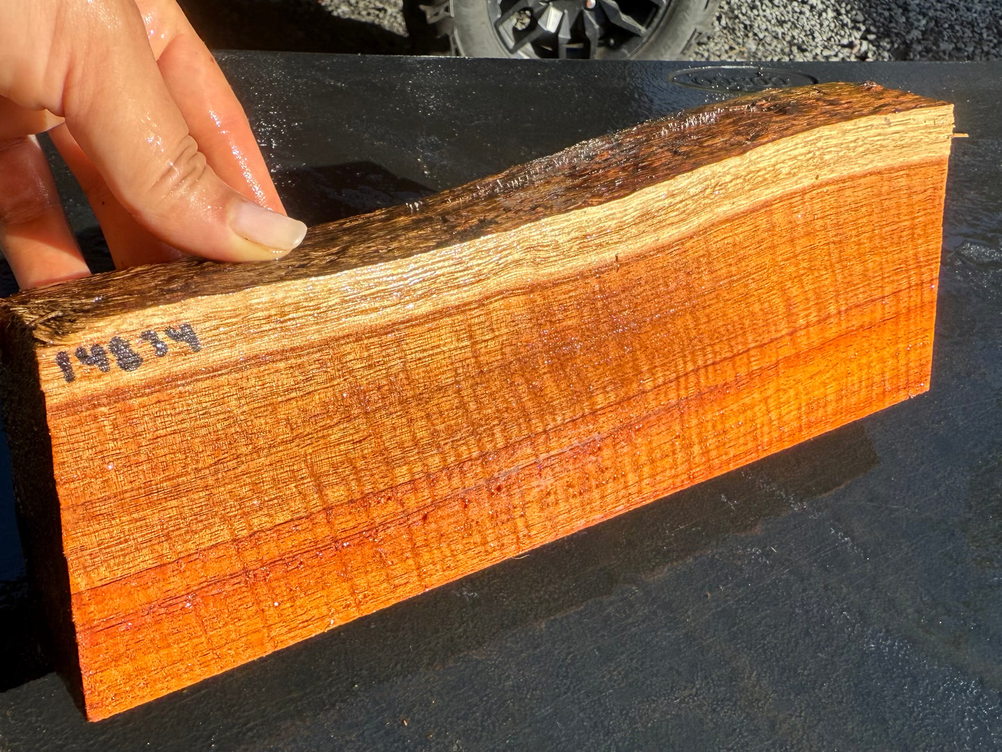 Hawaiian Curly Koa Board #14834