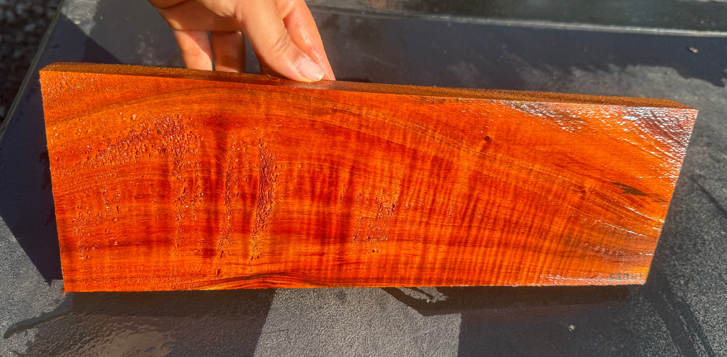 Hawaiian Curly Koa Board #14835