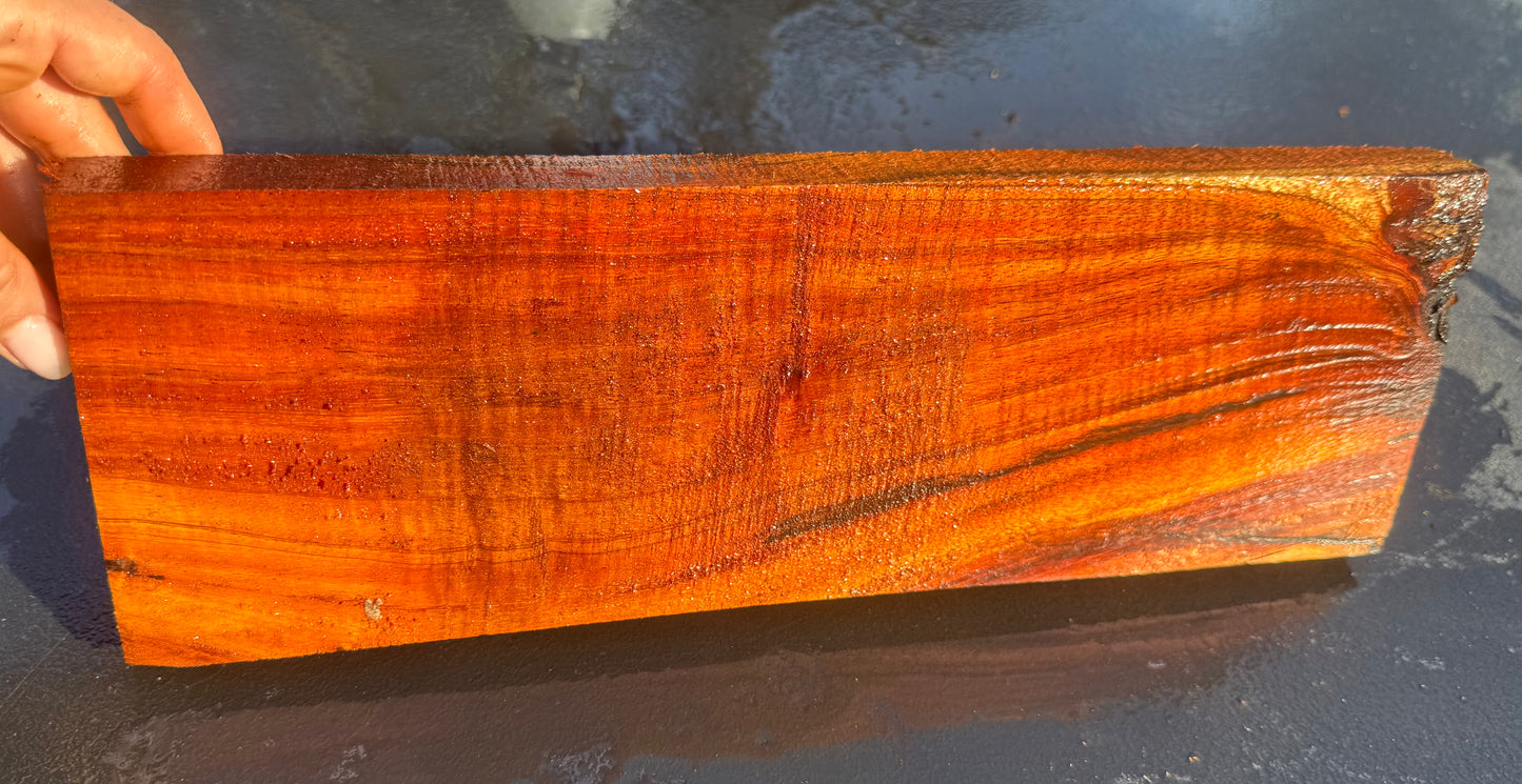 Hawaiian Curly Koa Board #14835