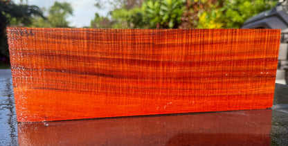 Hawaiian Curly Koa Board #14836