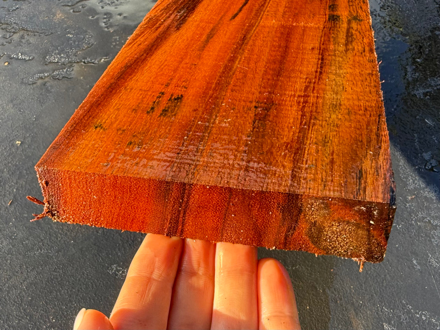 Hawaiian Curly Koa Board #14837