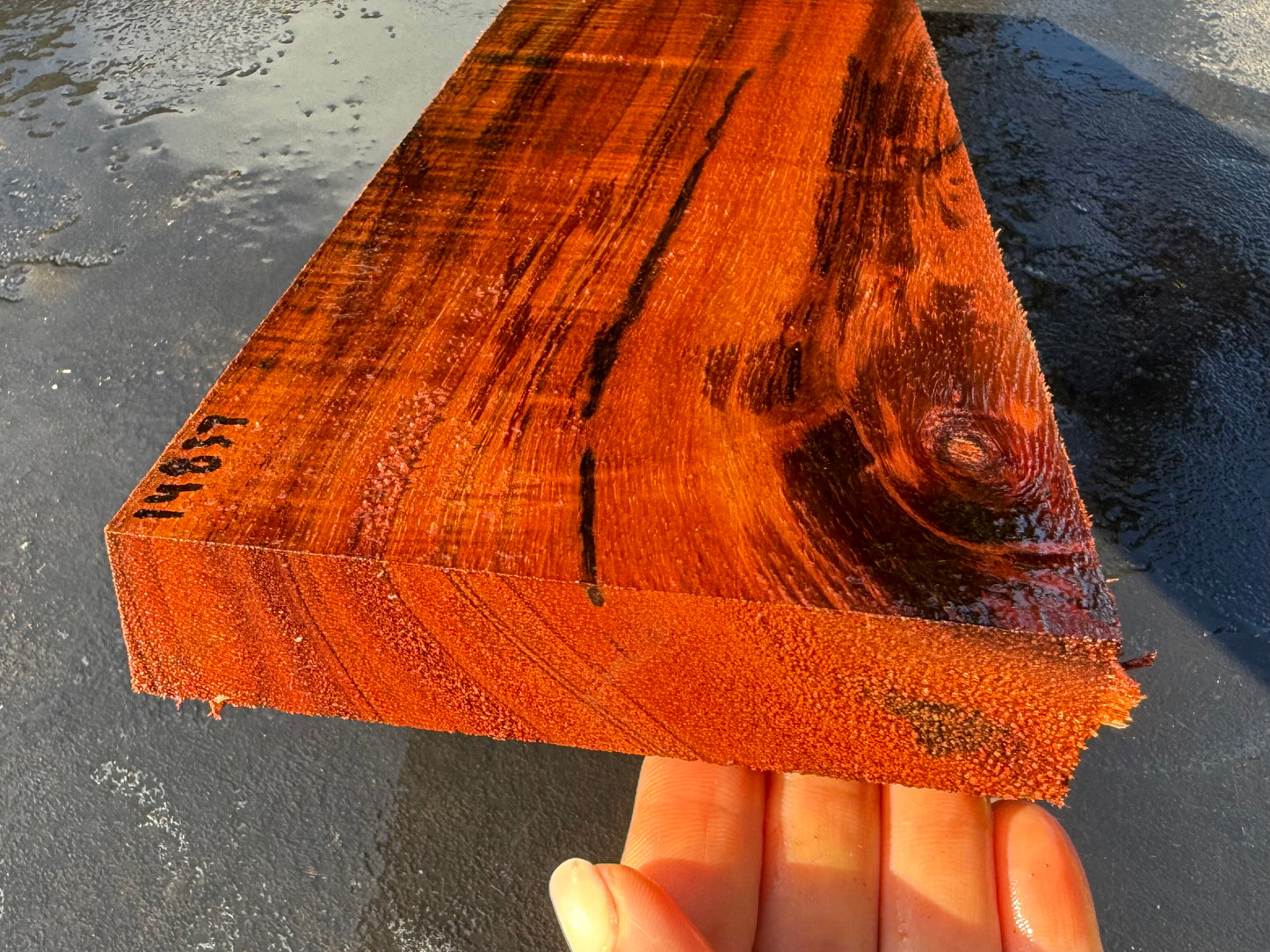 Hawaiian Curly Koa Board #14837