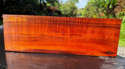 Hawaiian Curly Koa Board #14837