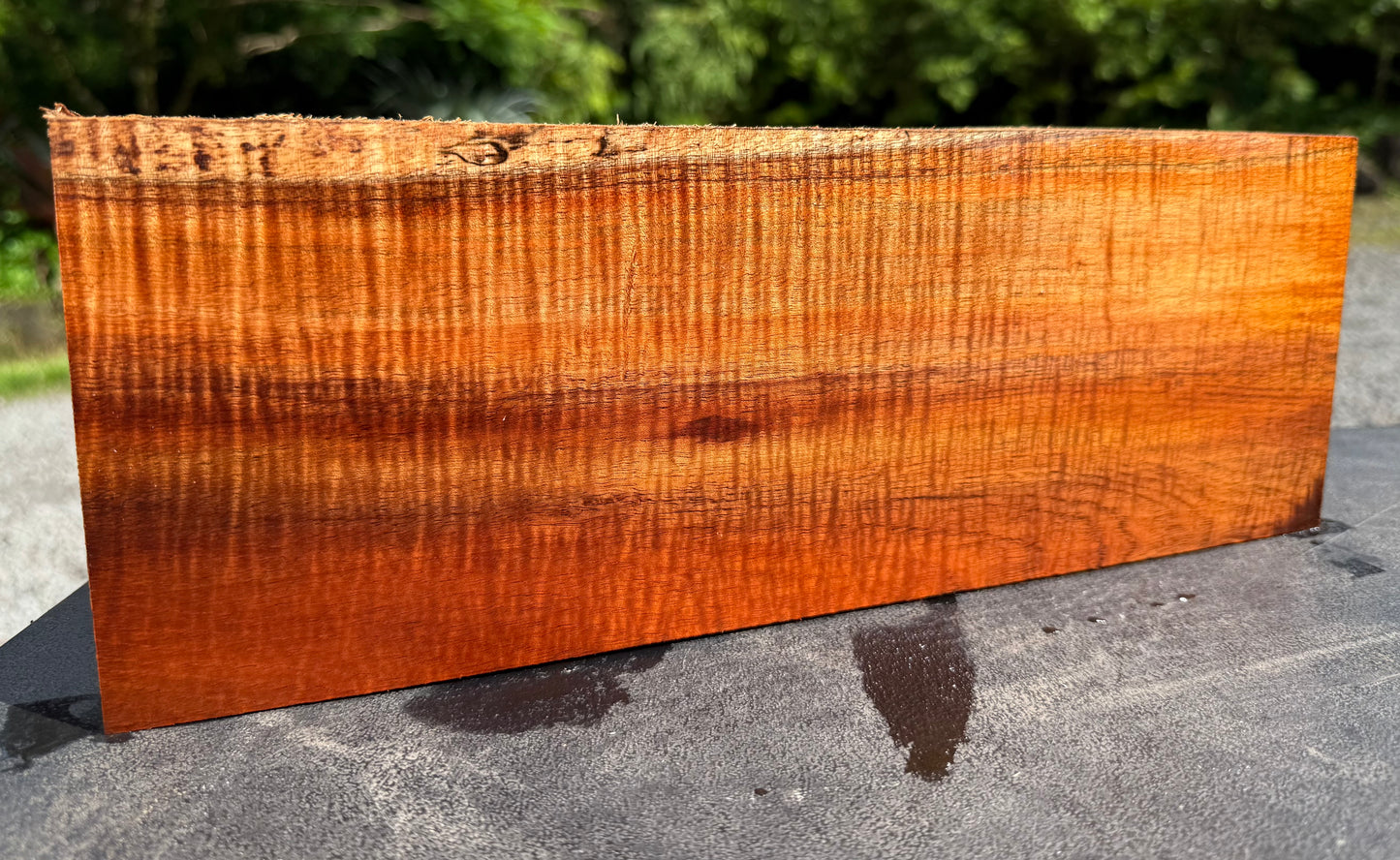 Hawaiian Curly Koa Board #14840