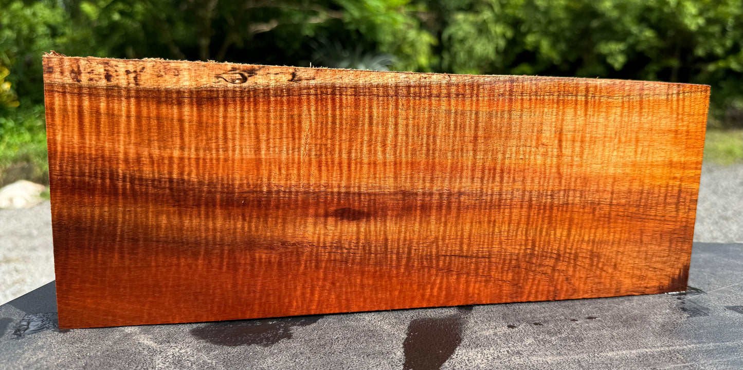 Hawaiian Curly Koa Board #14840