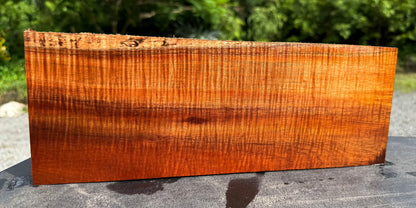 Hawaiian Curly Koa Board #14840