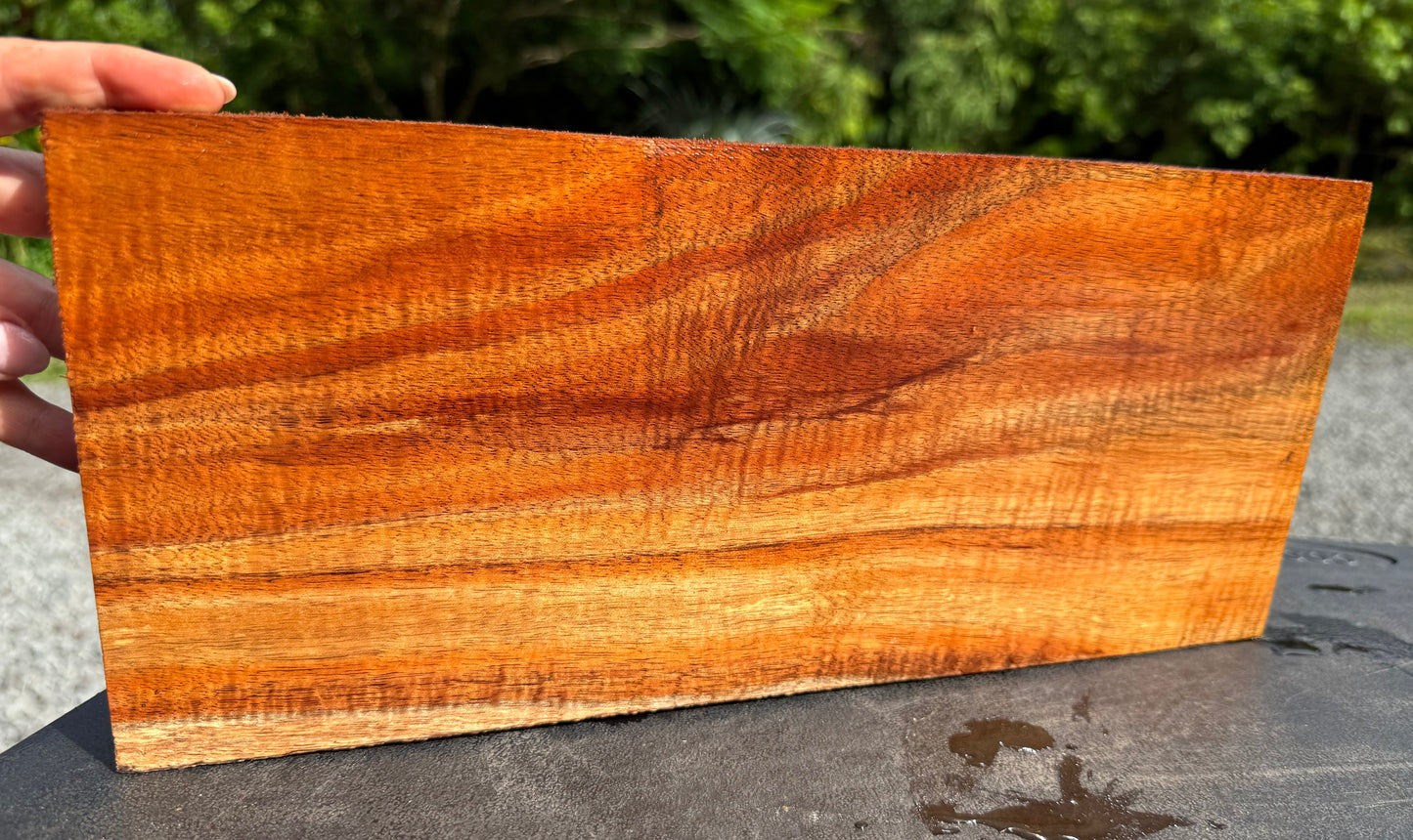 Hawaiian Curly Koa Board #14841